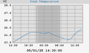 Pond Temperatures