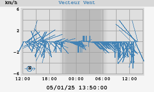 Wind Vector