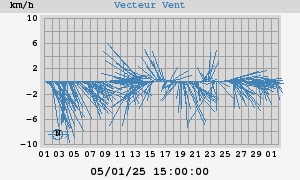 Wind Vector