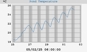 Pond Temperatures