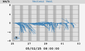 Wind Vector