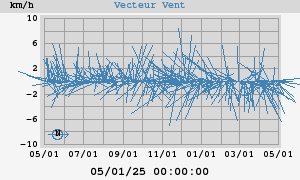 Wind Vector